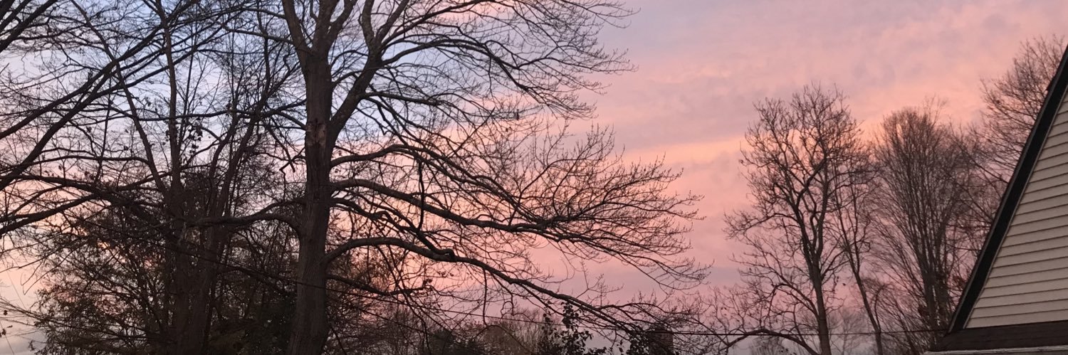 chrissytozzi's profile banner image