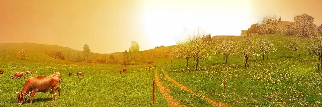 lenn82's profile banner image