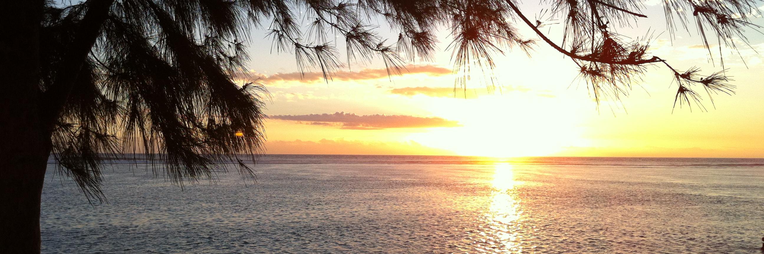 PFTedeschi's profile banner image
