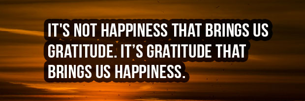 Fariha Abbasi- Feinberg banner