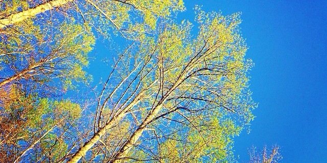 ShannaChambers's profile banner image