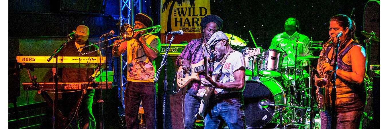 TheWildHareLLC's profile banner image