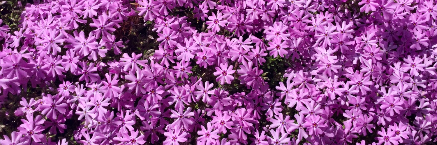 Keep_CalmLoves's profile banner image