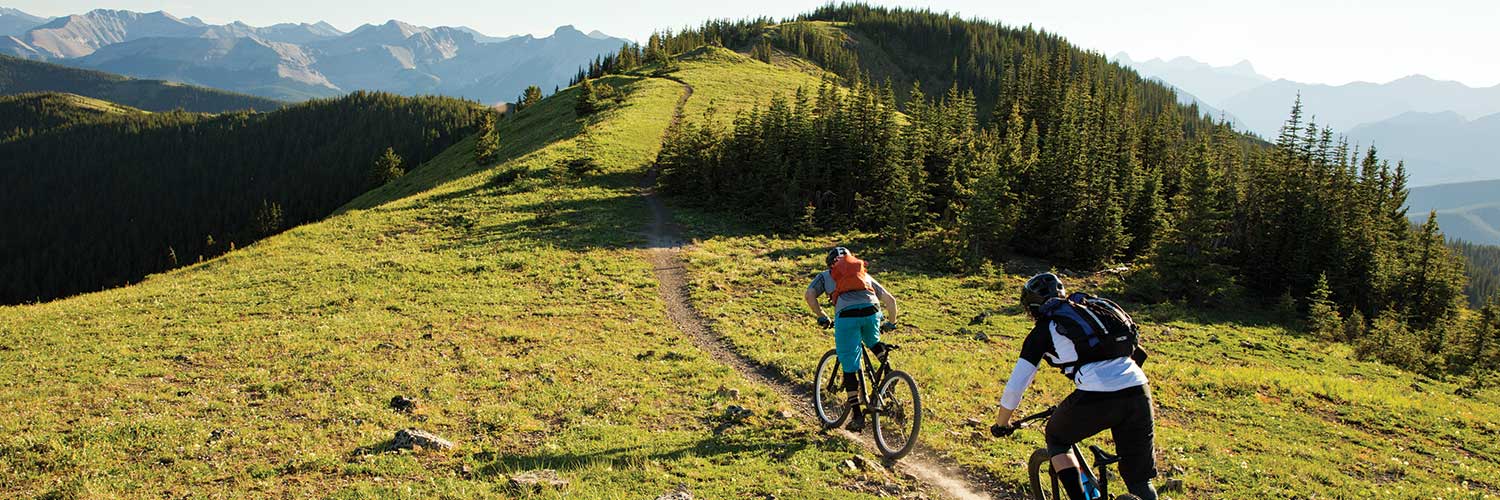 First Community Credit Union banner