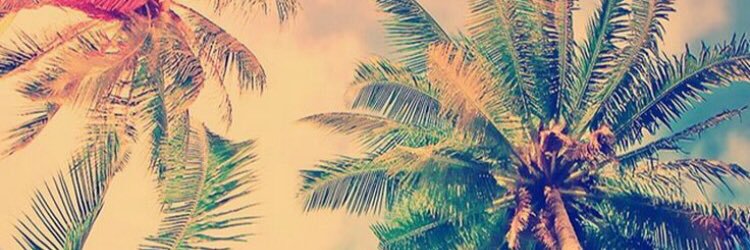PazNob's profile banner image
