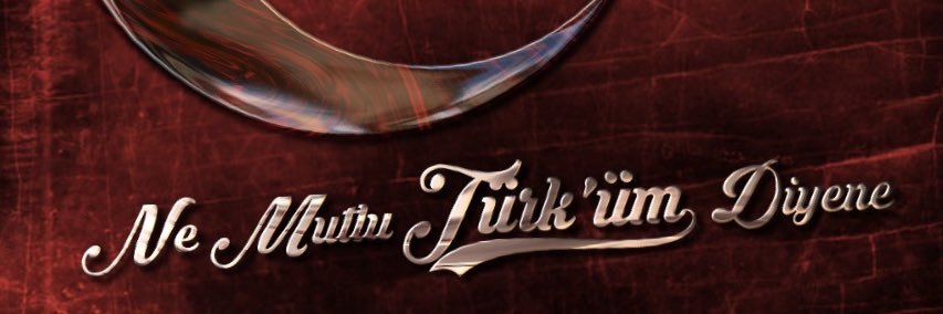 🦁oyuncu@1905🦁 banner