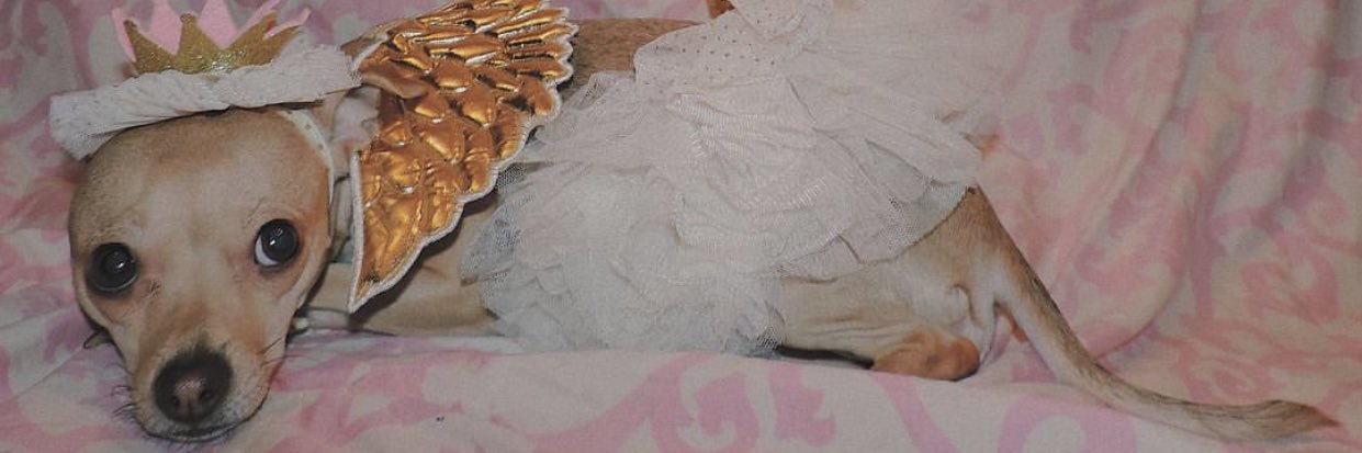 lvxvre's profile banner image