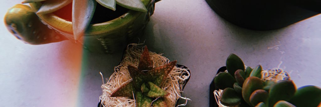 kier banner