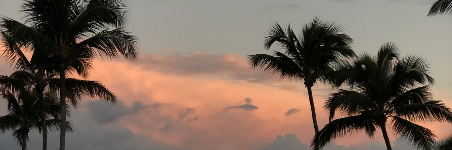 RinelJAdames's profile banner image