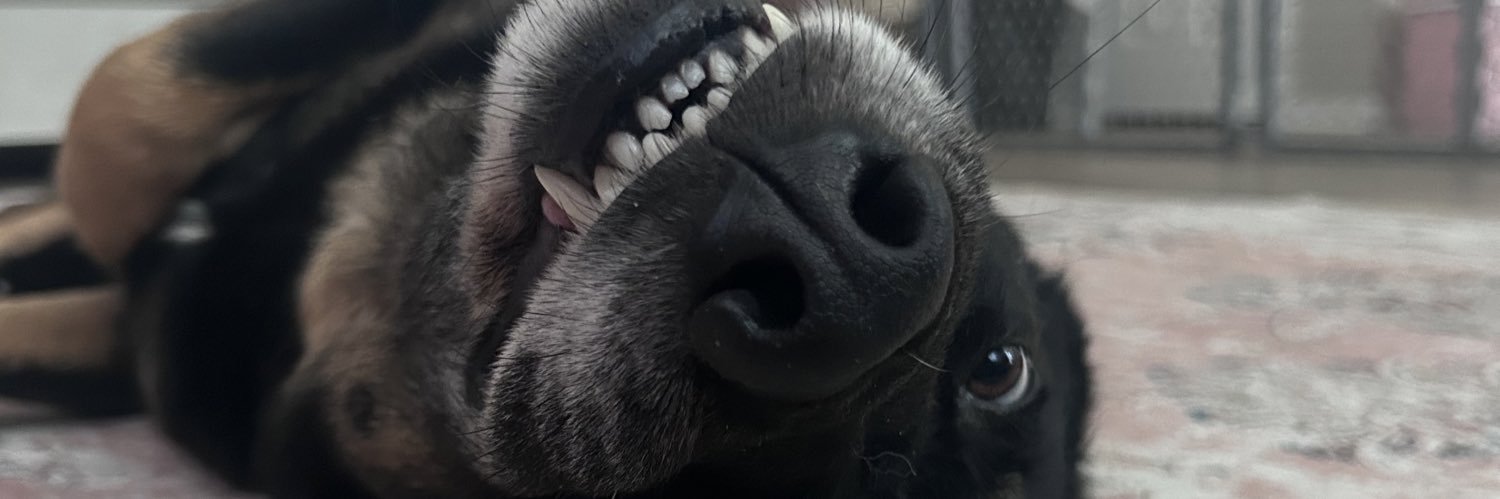 prettydesv's profile banner image