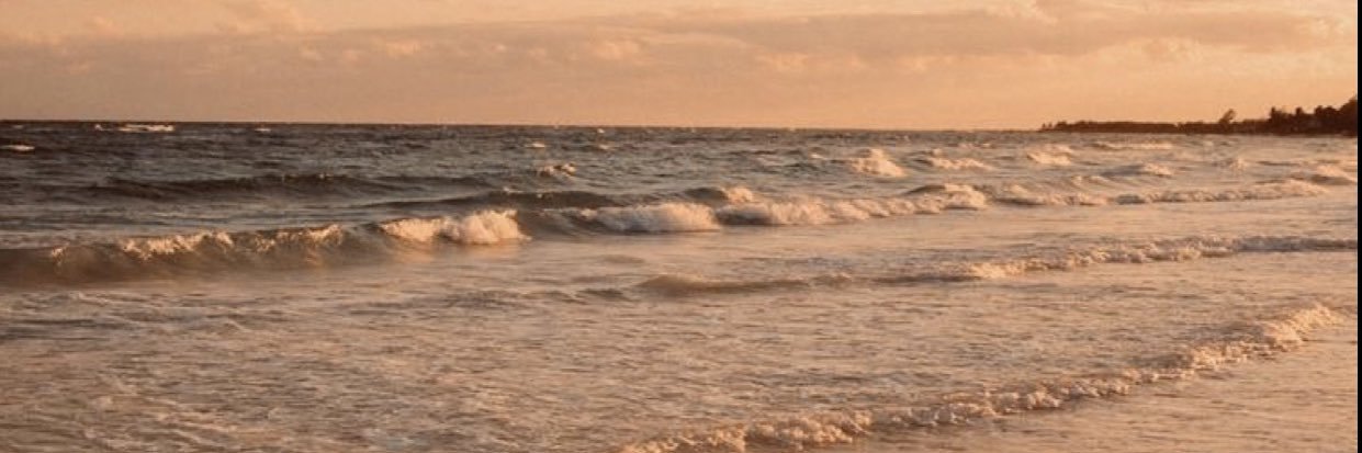 Jamie__Ervin's profile banner image