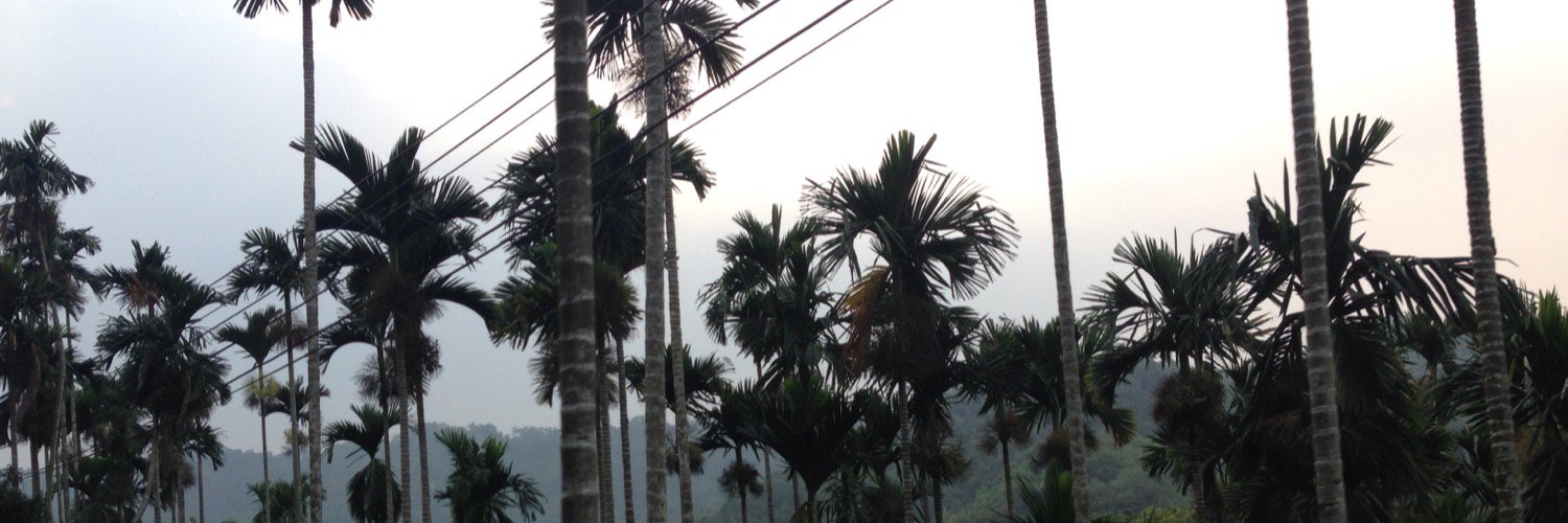 LenaRose_'s profile banner image