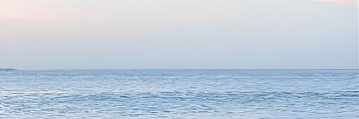 fridagarlo's profile banner image