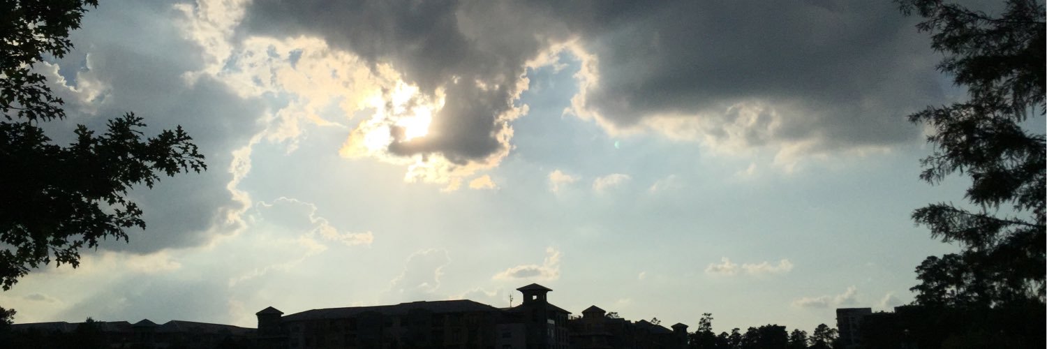 Michael Miata banner