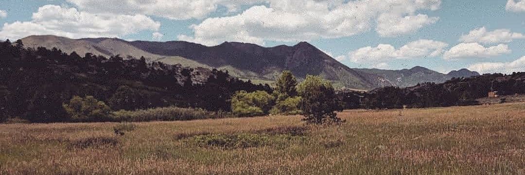 Giant_tess's profile banner image