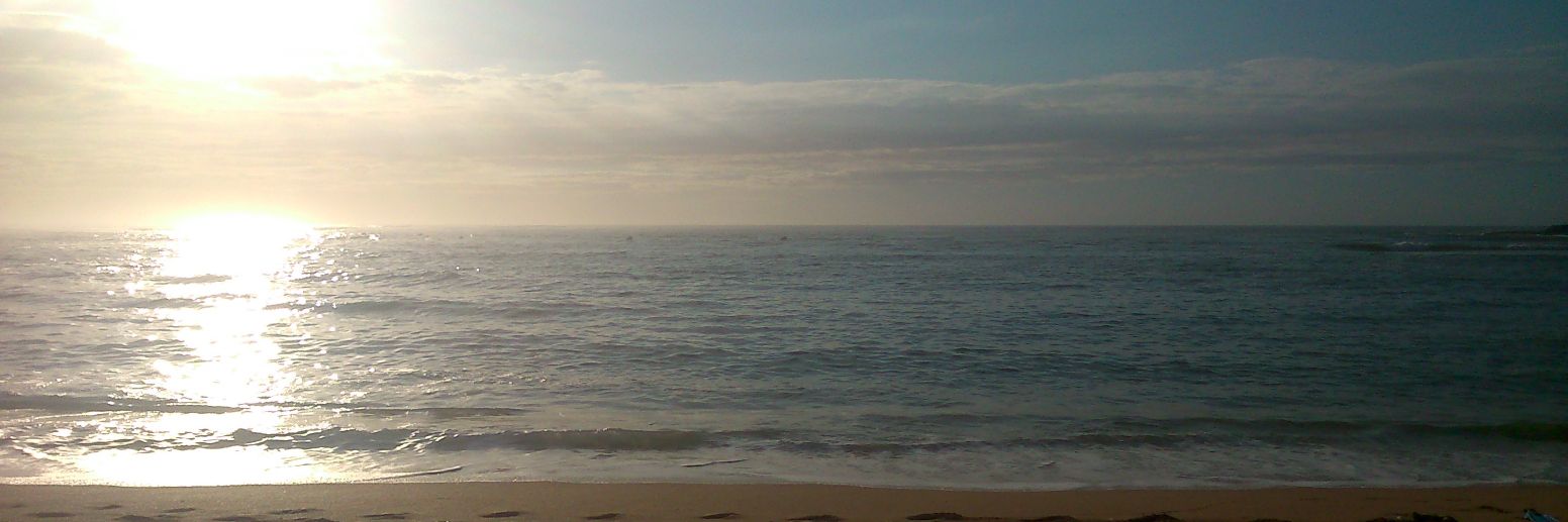 laila🇲🇦 banner