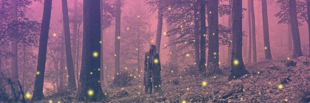 Danielle 🎀 banner