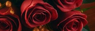 leann2172's profile banner image