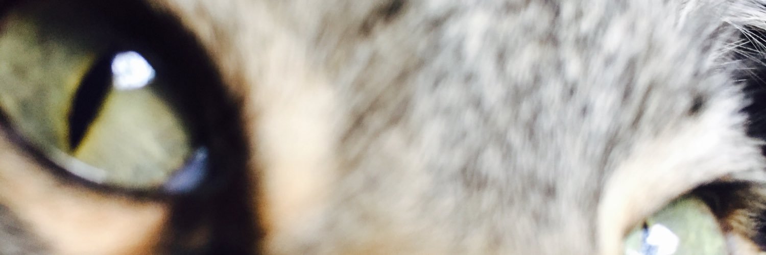 ivyoore's profile banner image