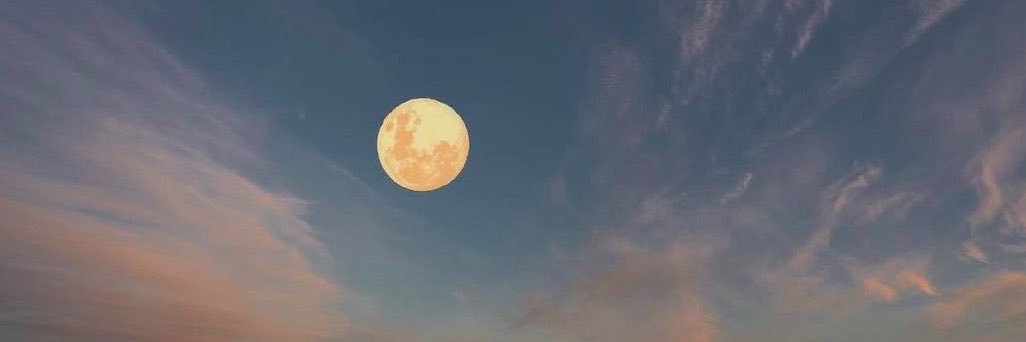 _carolinamv8_'s profile banner image