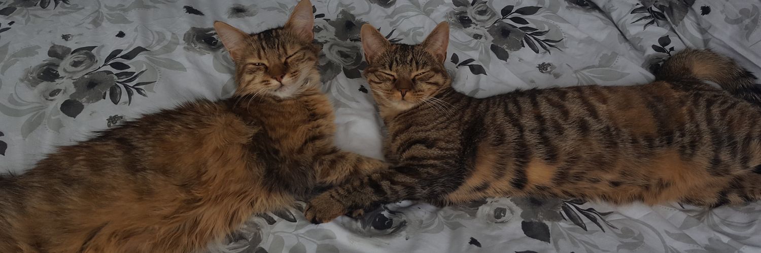 camelion79's profile banner image