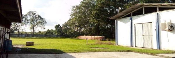 diogenesdaniel2 Profile Banner