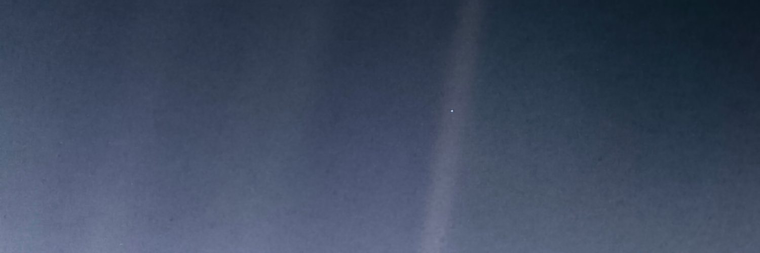 David Wilson banner