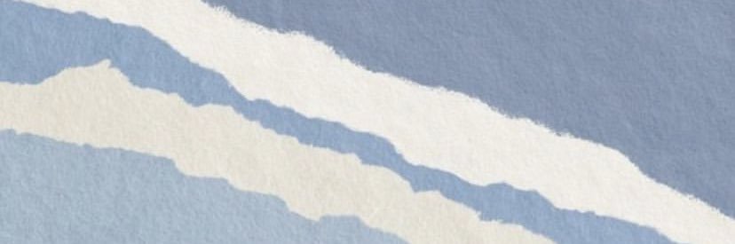 carolbrss's profile banner image