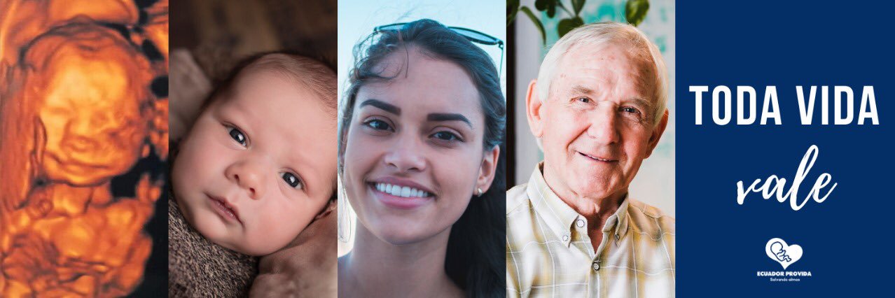 Ecuador Provida banner