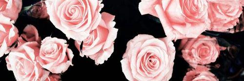 corrupted_love's profile banner image