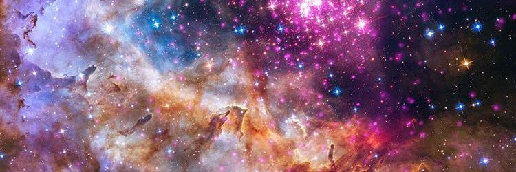 daisygunn's profile banner image