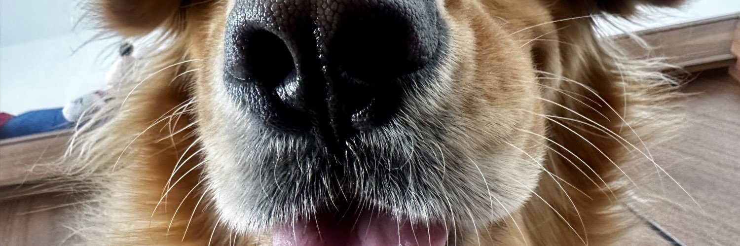 snowz701's profile banner image