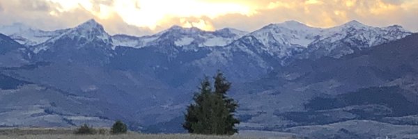 PDBrownOnc Profile Banner