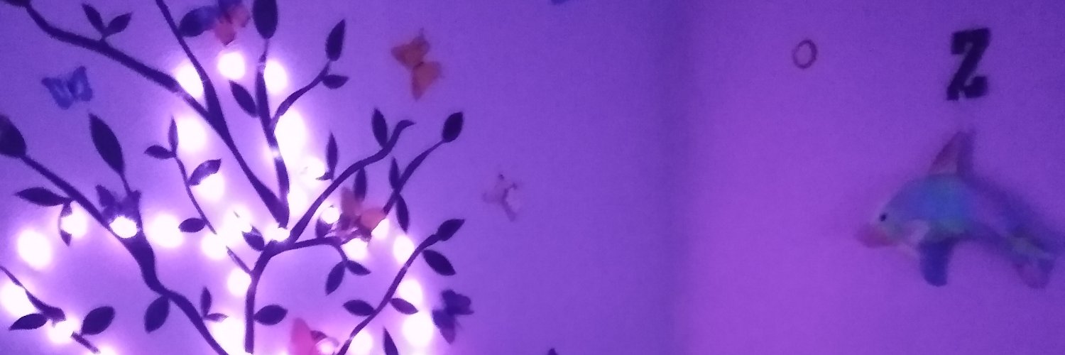 dolphinboo's profile banner image