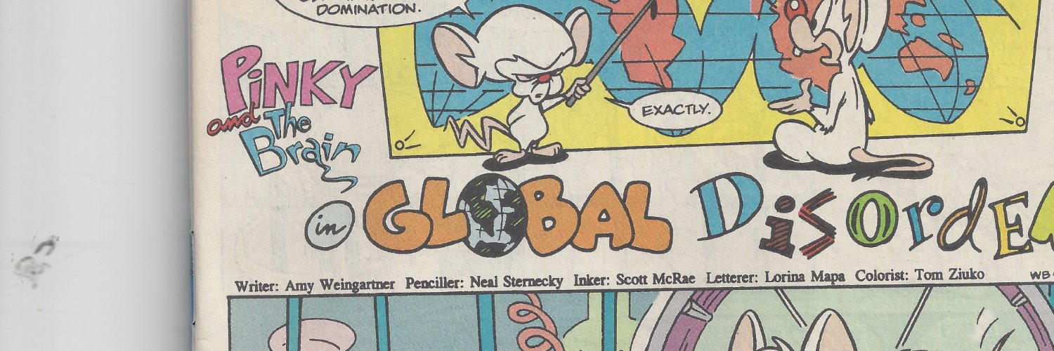 Amy Weingartner banner