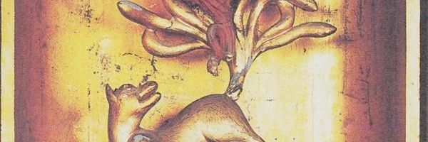Umenaimi's profile banner image