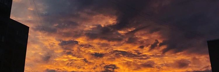 Alena_omnom's profile banner image
