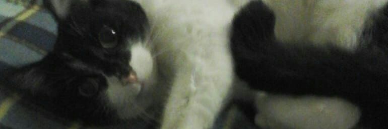 anamkamper's profile banner image