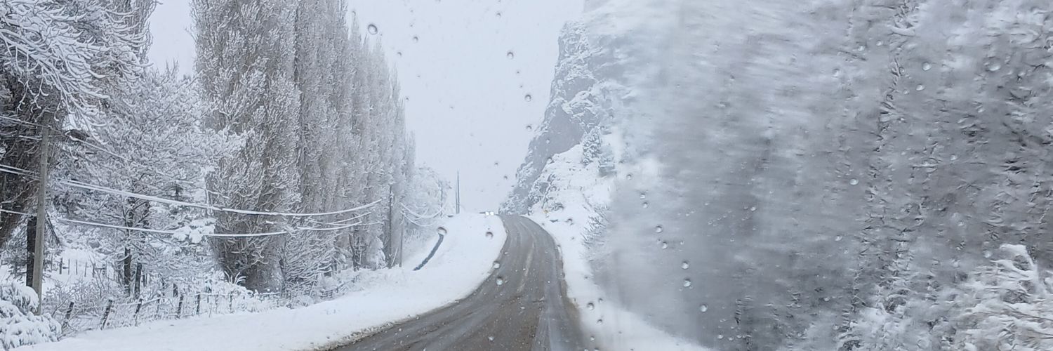 Fran🇨🇱 Bagual banner