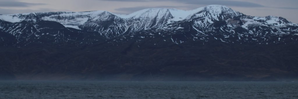 Wouter_Oll's profile banner image
