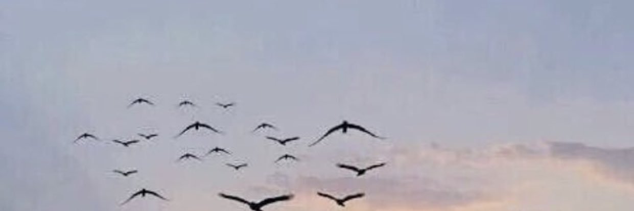 thereishope222's profile banner image