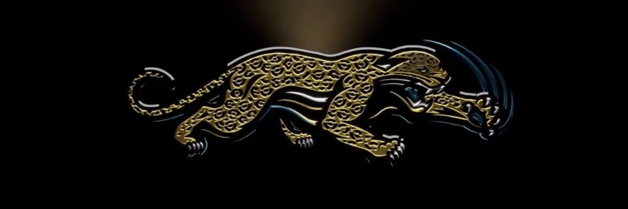 Jags Fan banner