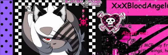 LuckyAbsol1's profile banner image