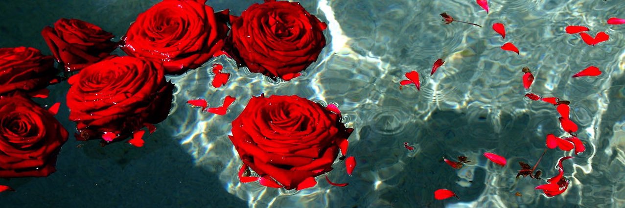 campolaura's profile banner image