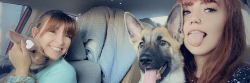 wtfangel_'s profile banner image