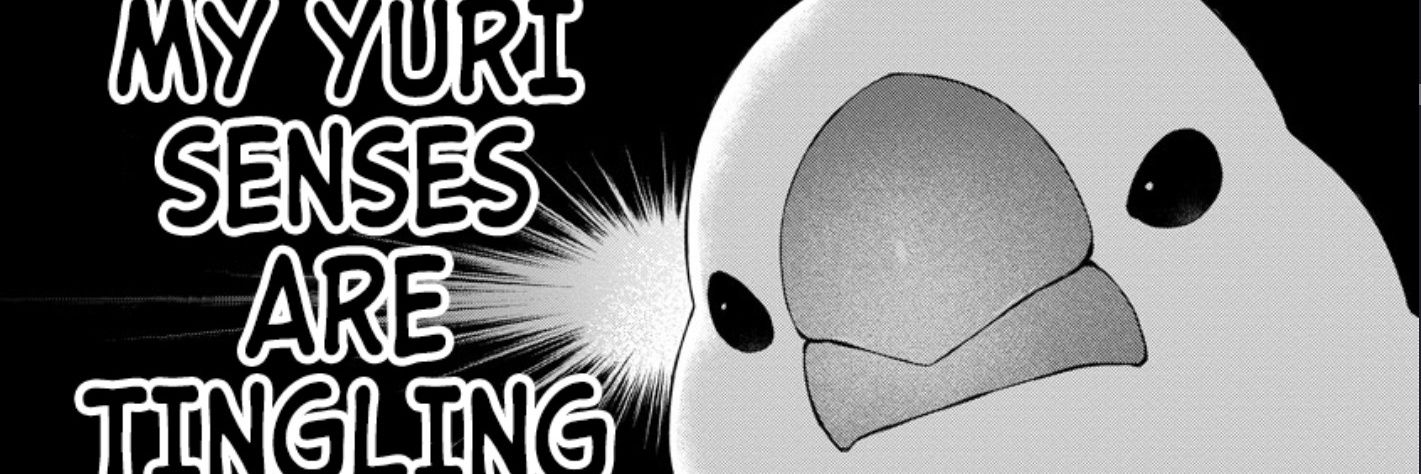 Mlfg_AK's profile banner image