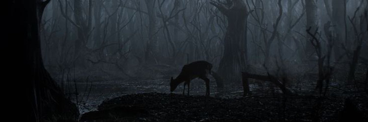 Q3_x's profile banner image