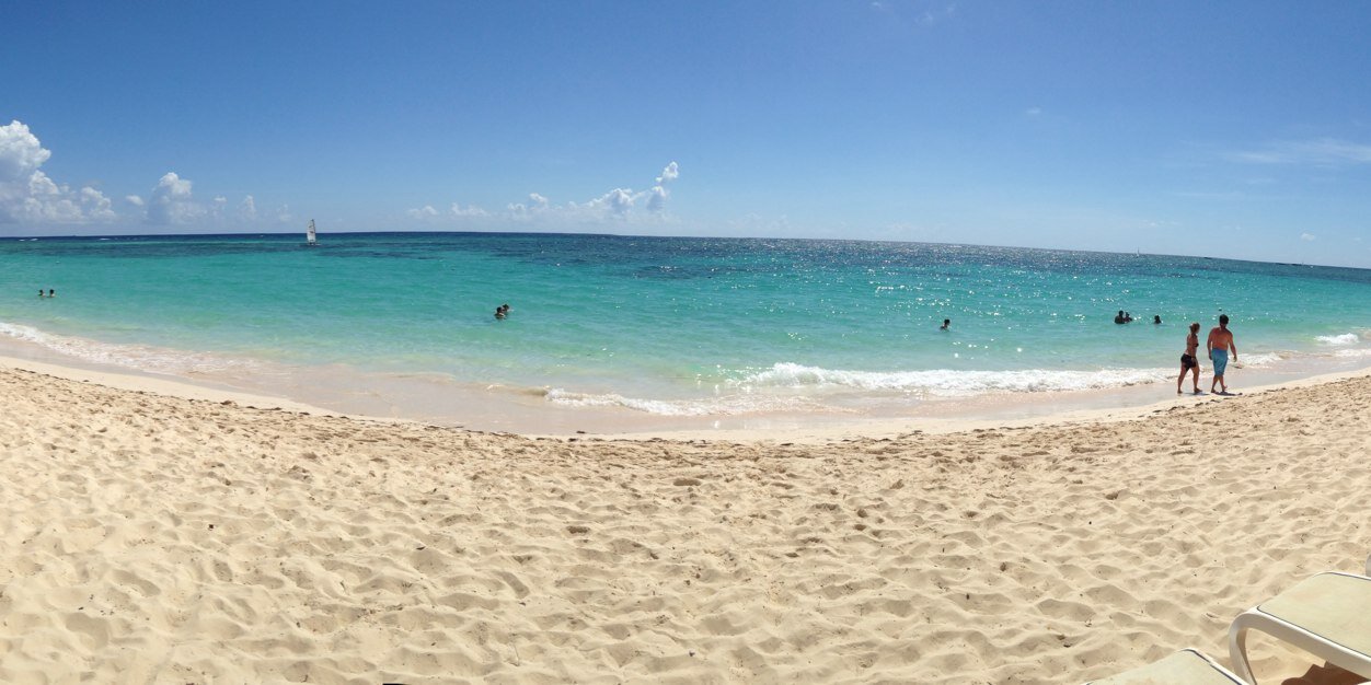 Terry Bellamy banner