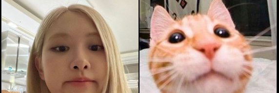 Sebs_uwu's profile banner image