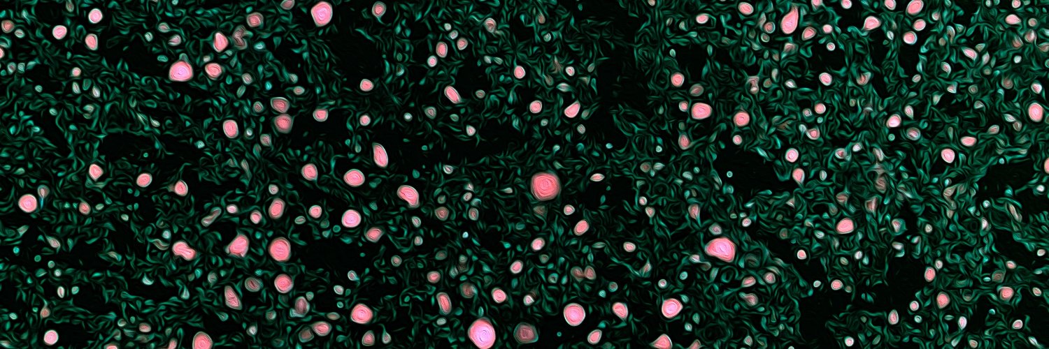 dr_arifuzzaman's profile banner image